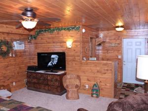 a living room with a television in a wooden wall at Trickling Waters Retreat in Marquette