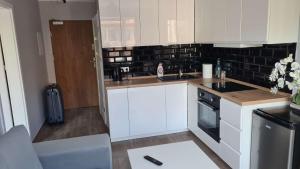 Kuchyň nebo kuchyňský kout v ubytování Apartament Słowik Rowy nr 7