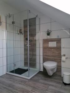 a bathroom with a shower and a toilet at Litti in Worpswede