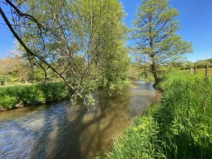 um rio com árvores ao lado dele em Le Héron - Gîte de charme avec rivière - 6 ou 10 personnes em Fauvillers