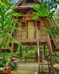 Jardí fora de Lazy Lizard Hostel