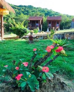 a green yard with pink flowers in front of a house at Deepsky Villa in Karimunjawa