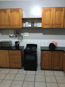 Η κουζίνα ή μικρή κουζίνα στο Ibex Hill Apartment- Power backup