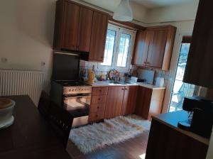 eine Küche mit Holzschränken und einem Herd mit Backofen in der Unterkunft Estel 2bedroom villa with fireplace in Grevena