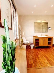 La salle de bains est pourvue d'un lavabo et d'un cactus. dans l'établissement Villa Bon Accueil, à Deauville