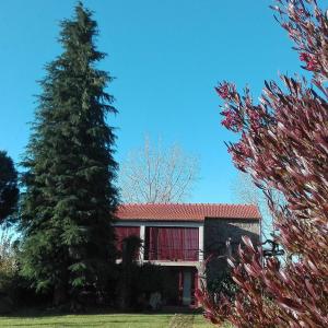 a house with a large tree in front of it at Casa do Cruzeiro in Paredes de Coura