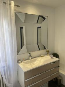 a bathroom with a sink with a large mirror at Gite du SERAYOL in Morlhon-le-Haut
