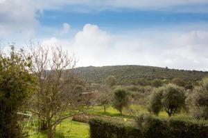 Paesaggio naturale nelle vicinanze del bed & breakfast