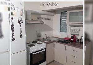 uma pequena cozinha com um fogão e um frigorífico em Gecko guesthouse em Ágios Nikólaos