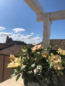 Fotografia z galérie ubytovania Il Piccolo Attico v destinácii Caltagirone