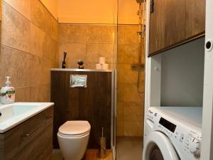 La salle de bains est pourvue de toilettes, d'un lavabo et d'un lave-linge. dans l'établissement Marina'home, à Ajaccio