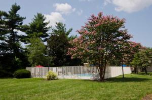 a fence with a pink flowering tree in a yard at Motel 6-Frederick, MD - Fort Detrick in Frederick