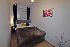 1 dormitorio con 1 cama en una habitación en Garden z ogródkiem na Waszyngtona, en Białystok