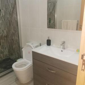 ein Bad mit einem WC und einem Waschbecken in der Unterkunft Ellen Apartamentos in Espargos