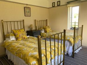 a bedroom with two beds with yellow sheets and a window at Cottage on the Hill in Penrith