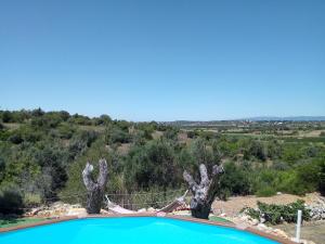 Vista de la piscina de Monte do Rio-Pêra o d'una piscina que hi ha a prop