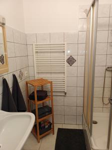Koupelna v ubytování Ubytování na Goethovce-apartmán