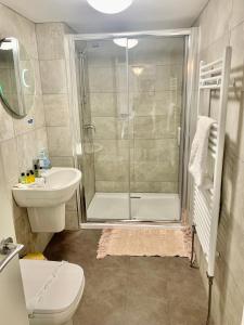 a bathroom with a shower and a toilet and a sink at Jasmine House in Lutterworth