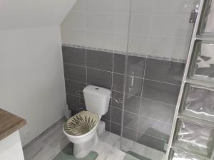 y baño con aseo y ducha. en Appartement cosy + accès jardin et salle de muscu, en Mardié