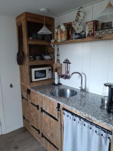 a kitchen with a sink and a microwave at Mahil-Laya in Meppel