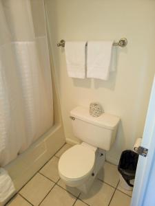 a bathroom with a toilet and a shower and towels at Queen City Inn in Bangor