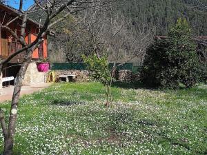 Zahrada ubytování Casa rural en Asturias a orillas del río Narcea puerta de Somiedo