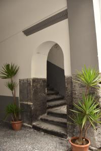 Fotografia z galérie ubytovania Varriale House free parking for small cars only v Neapole