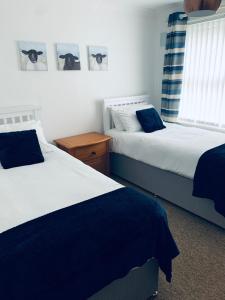 a bedroom with two beds with blue and white sheets at Little Bere apartment in Lifton