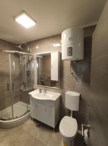 La salle de bains est pourvue de toilettes, d'un lavabo et d'une douche. dans l'établissement Valerie Apartman, à Drvenik