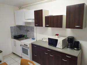 a kitchen with a counter top with a microwave at Appartement F1 rez de chausser BG N°2 in Bains-les-Bains