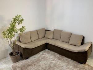 eine Couch in einem Wohnzimmer mit Pflanze in der Unterkunft Apartamento charmoso próximo ao Centro in Vitória da Conquista