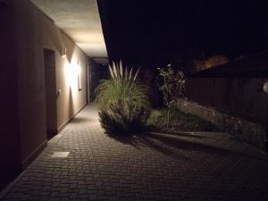 Fotografia z galérie ubytovania L'elicriso B&B v destinácii Acireale