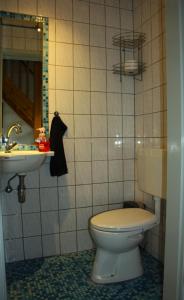 ein Bad mit einem WC und einem Waschbecken in der Unterkunft Schönes Ferienhaus in Oostmahorn (176) in Anjum