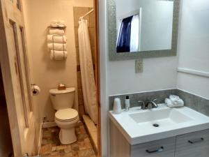Un baño con inodoro, lavabo y espejo. en Mokee Motel, en Bluff