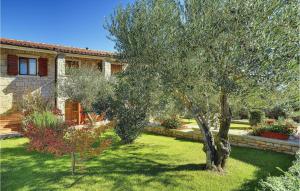 a house with a olive tree in a yard at Beautiful Apartment In Rakalj With Wifi in Rakalj