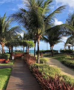une passerelle avec des palmiers et des bancs sur une plage dans l'établissement Apartamento a beira mar com piscina estilo resort, à Cabedelo