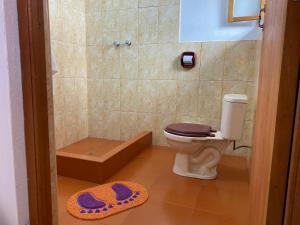 uma casa de banho com um WC, um chuveiro e um tapete. em Hotel Wiñay Pacha Inn em Puno