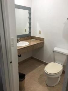 a bathroom with a white toilet and a sink at The Fly Inn Motel in Lynwood