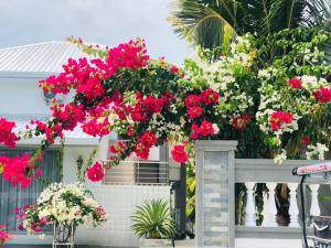 Zahrada ubytování Bougain Villa Gemanafushi