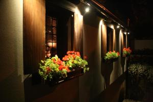 Foto sihtkohas Paraćin asuva majutusasutuse B&B Galerija Two Rooms galeriist