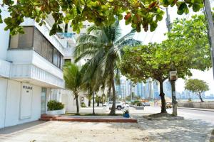 Fotografie z fotogalerie ubytování Casa del Gato v destinaci Cartagena