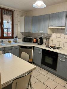 a kitchen with gray cabinets and a stove top oven at Sur la Route du Vin in Rorschwihr