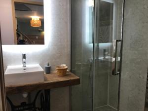 uma casa de banho com um lavatório e um chuveiro em L’Atelier de René Futuroscope em Beaumont