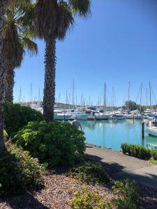 a marina with palm trees and boats in the water at Gulf Harbour Guest House Apartment in Auckland