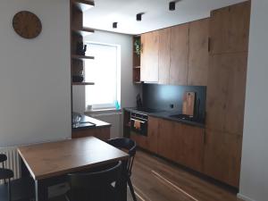 Kuchyňa alebo kuchynka v ubytovaní Apartament Projektant + 12 fotografií