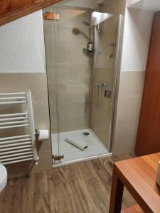 W łazience znajduje się prysznic ze szklanymi drzwiami. w obiekcie Maso Kofler w mieście Rumo