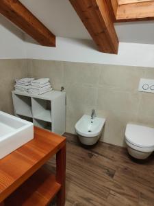 Łazienka z białą toaletą i umywalką w obiekcie Maso Kofler w mieście Rumo
