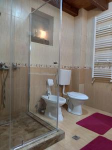 a bathroom with a toilet and a glass shower at Cabana 84 in Beclean