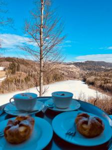 ヴィスワにあるthe beskid viewのギャラリーの写真