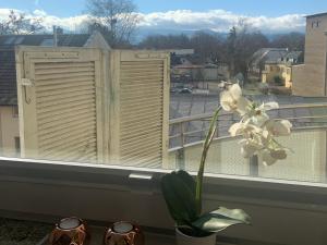 une fleur dans un vase assis sur un rebord de fenêtre dans l'établissement Apartment Wendelsteinblick, à Bad Aibling
